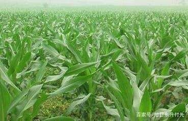 ����׷ʩ���ʑ�ԓ��ô������Ҫע��ʲô��