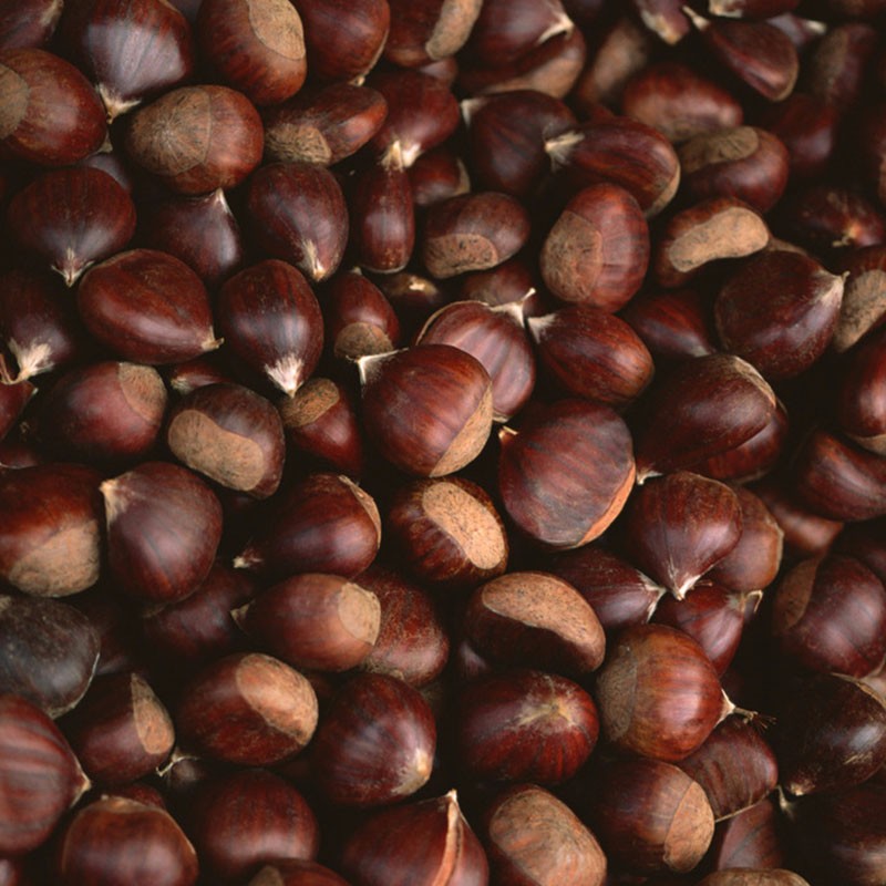 ���������������ʲô����ԓ���ʩ�ʣ�