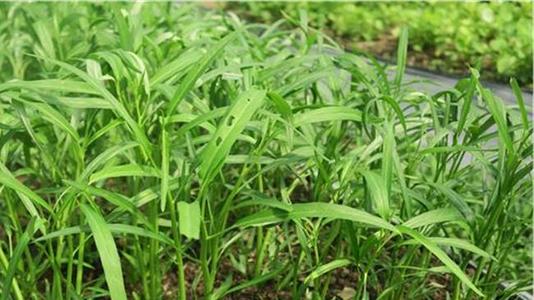 ���Ĳ���Ҫ�߮a��ԓ���ʩ�ʣ���Ҫע��ʲô��