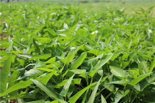 �������~��ʑ�ԓ���ʹ�ã���Ҫע��ʲô��