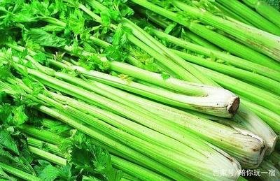 �Nֲ�۲ˑ�ԓ���ʩ�ʣ���ԓ���׷�ʣ�