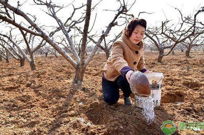 ������⇊ʩ����Щ���c������Щ��̎��