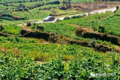 �Ͳ˻�޷�ڑ�ԓ���ӹ�����Ҫע����Щ���}��