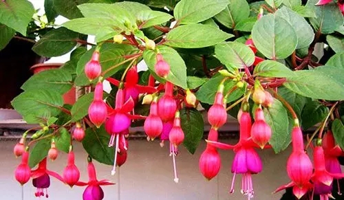 С���\��������ࣿ��ɶע����헣�