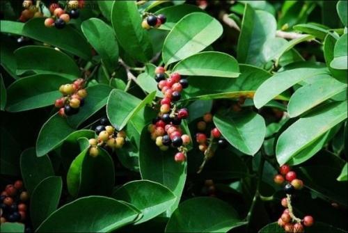 ��ζ����Ҫ���a(ch��n)��(y��ng)ԓ���ʩ�ʣ�ӛס�@���c(di��n)��