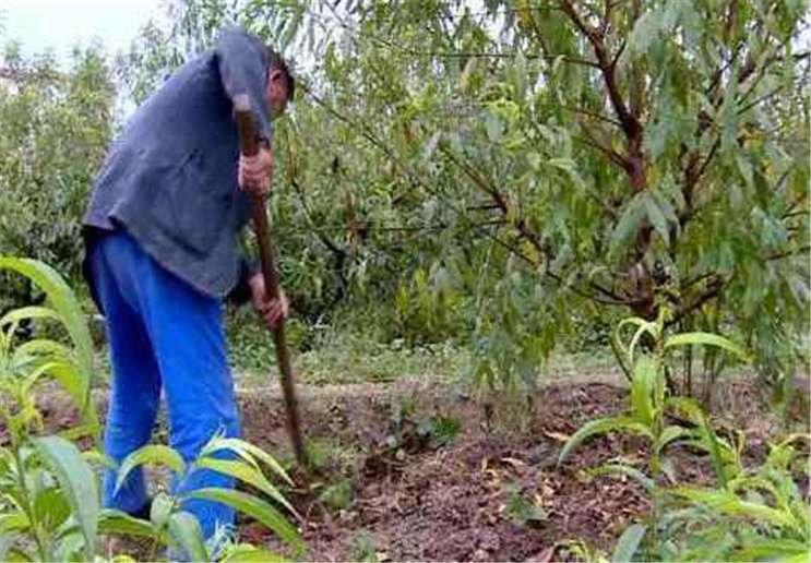 �����o�Ҙ�(sh��)ʩ������Щ��(w��n)�}����Ҫע��ʲô��