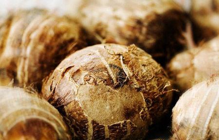 �o�������^�������ࣿ��ηNֲ����ʹ���^�_(d��)���߮a(ch��n)��