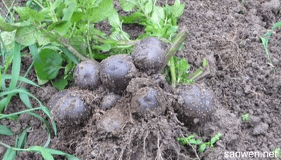 �������Nֲ��Ҫʲô�l����ԓע����Щ���}��