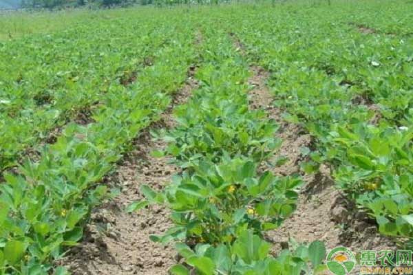 ������ʲô�r��ʩ�ʱ��^���m����ԓ���ʩ�ʣ�