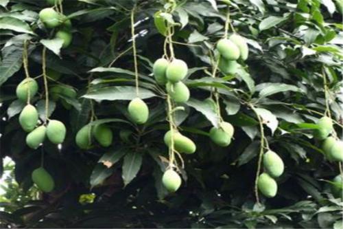 �绨â������ι�����â�����绨ԓ��ô�k��