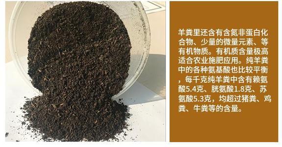 �l���u�S����S�Ă��ã���һ����ô��