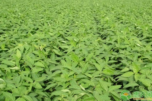 ���������L�ڑ�ԓ���ʩ�ʣ���Ҫע��ʲô��