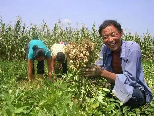 �����~������ķN���^�ã���(y��ng)ԓ���ʹ�ã�