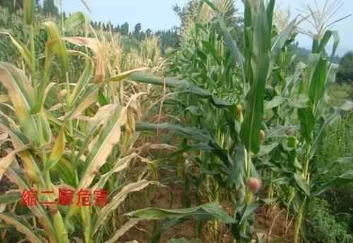 �s������ʲô���s���匦(du��)��������ЩΣ����