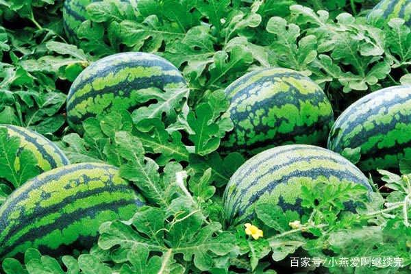 �������������������������������ɻ��ʣ�