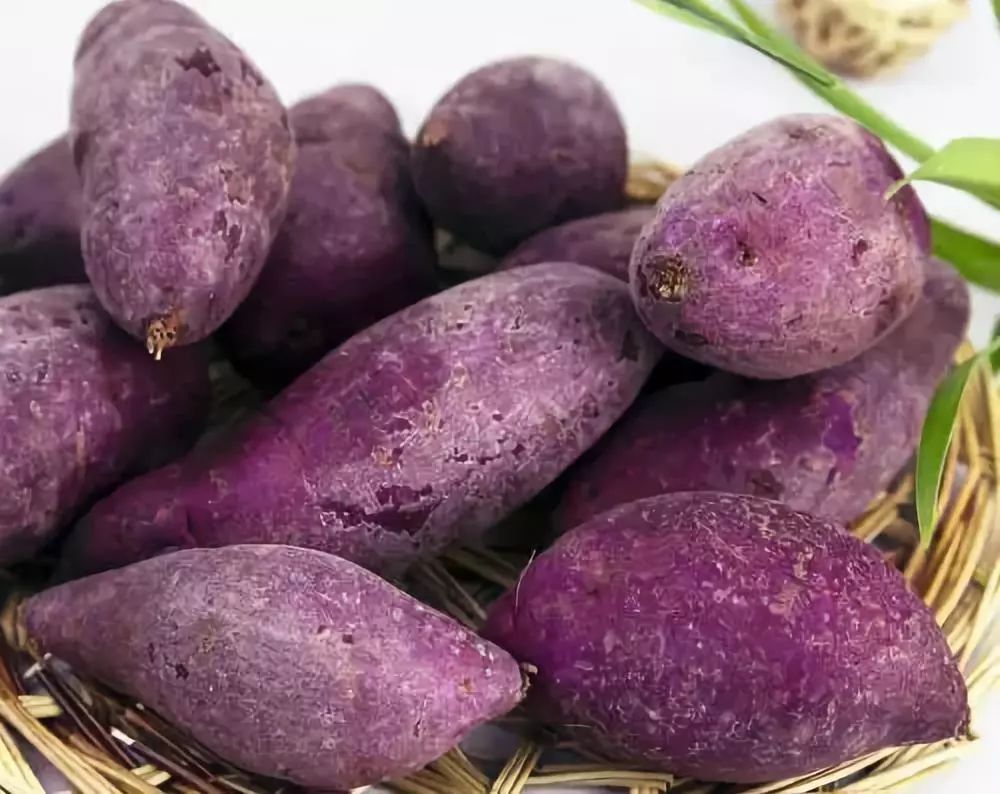 ������Ҫ�߮a��ԓ��ηNֲ����Ҫע��ʲô��