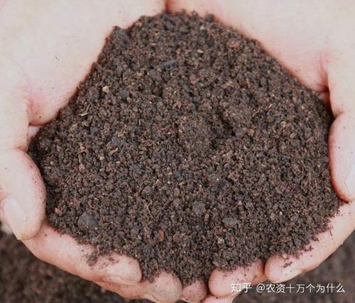 ��ֳ����ϵ�������ʲô����ԓ���ʹ�ã�