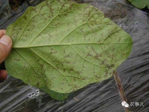 �����~�Ӱl�S��ʲôԭ����ɵģ���η��Σ�