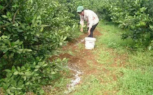 �𻨘䑪ԓ��ʲô�r��ʩ�ʣ����ʩ�ʣ�