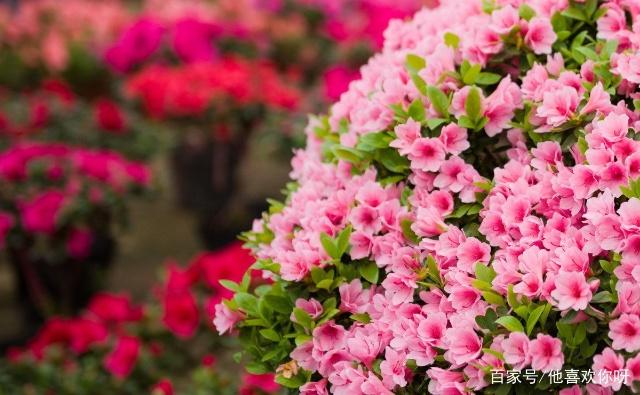 ���N����(y��ng)ԓ���ʩ�ʣ�ʩ�ʕr(sh��)��Ҫע��ʲô��