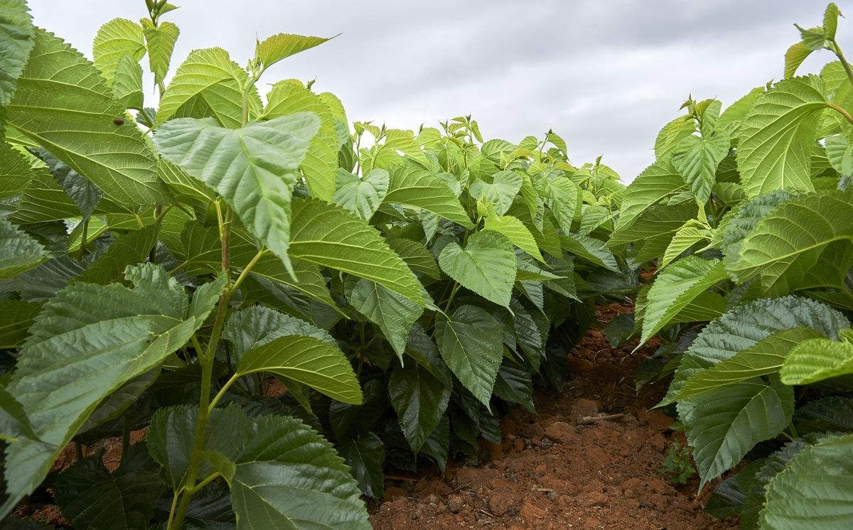 ɣ���������c��ʲô����Ҫ�߮a(ch��n)��ԓ���ʩ�ʣ�