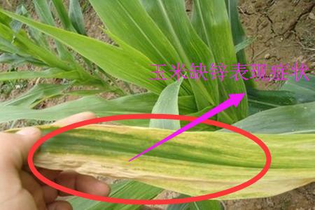 ����ȱ⛵İY����ʲô����(y��ng)ԓ��η��Σ�