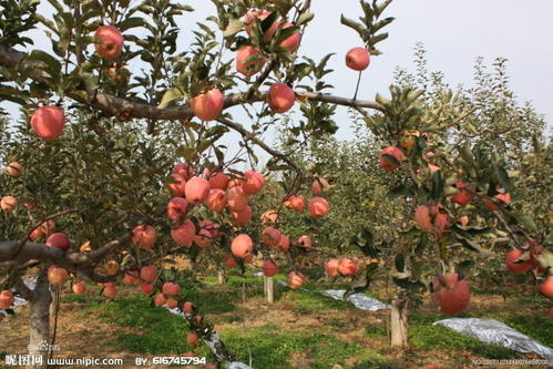 ���·��O���䑪(y��ng)ԓ���ʩ�ʣ�ʩʲô�ʱ��^�ã�