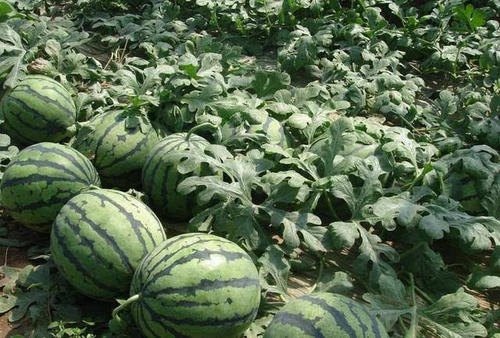 ���ϵ����Ҏ(gu��)����ʲô������Щʩ��ԭ�t��