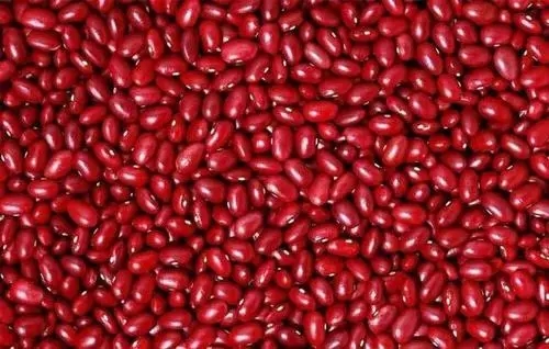 �t��ʲô�r�g�Nֲ���t���Nֲ��������Щ��