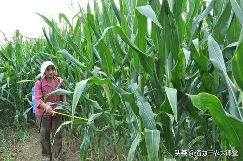 ������Ҫ�߮a(ch��n)��(y��ng)ԓ���ʩ�ʣ���ʲô�~��ʣ�