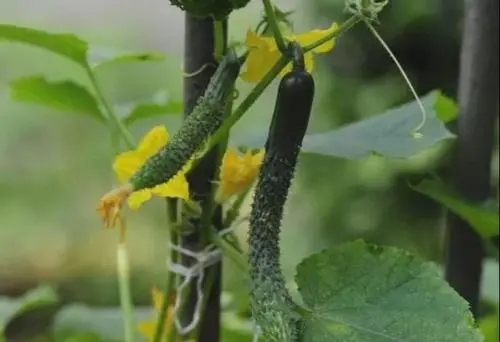 �����S�ϑ�ԓ���׷������Ҫע��ʲô��