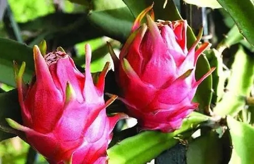 ��������Ҫ�߮a��ԓ���ʩ������Ҫע��ʲô��