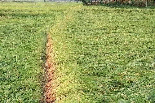 �^��ʩ�õ�����ʲôΣ������ԓ��ξ��⣿