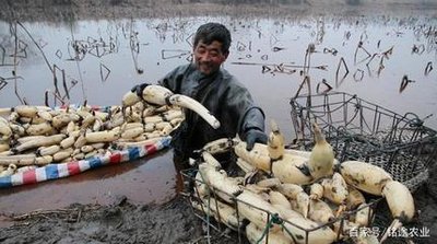 ����ɏź��Ҫע����Щ���}��ɏź�Nֲ���g��