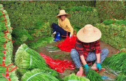 �²ˑ�(y��ng)ԓ���ʩ�ʣ��x�÷ʺ���Ҫ��