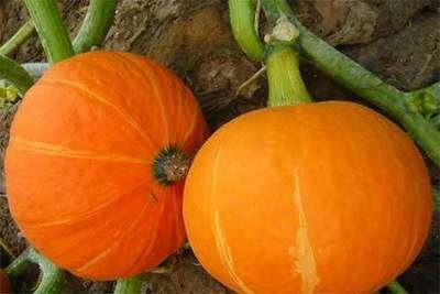 �Ϲ���Ҫ�߮a(ch��n)�ֺóԣ���(y��ng)ԓ���ʩ�ʣ�