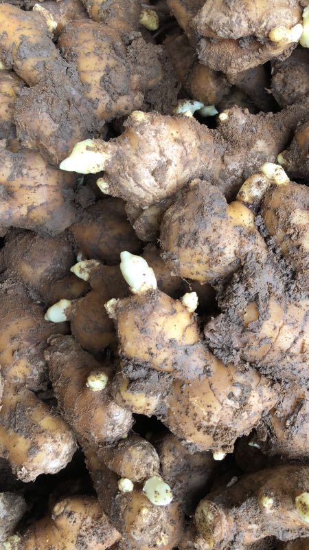 ���N����δ�ѿ�ģ����N��ѿԓע����Щ���}��