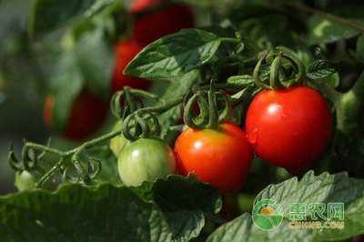 ������κ���ʩ�ʣ��ƌWʩ�}���h�xĚ������