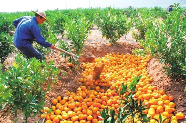 �̽ۉѹ��ʵ�ʩ�ʕr�g��ʲô���̽ۉѹ�����ôʩ