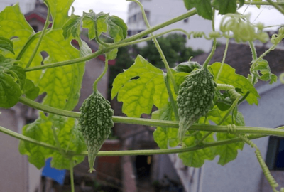 �������ʩ�ô�ѿ�ʣ����Ѵ�ѿʩ��ԭ�t��