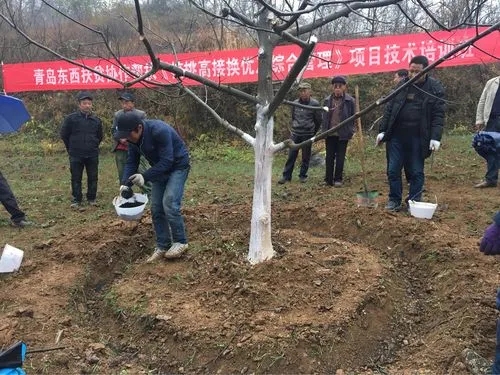 ���Ҙ�(sh��)����ʩ�ʣ����Ҙ�(sh��)��ʩ�ʷ�����ʲô��