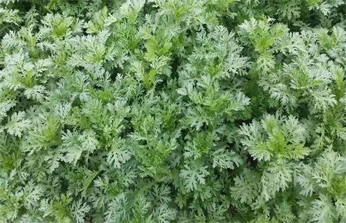 �������ʩ���ʣ�����׷�ʑ�(y��ng)ԓ���׷�߮a(ch��n)��