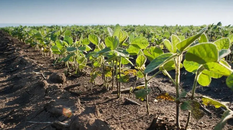 ���ΰl�͸��죿��ǵ���߀��⛷ʣ�