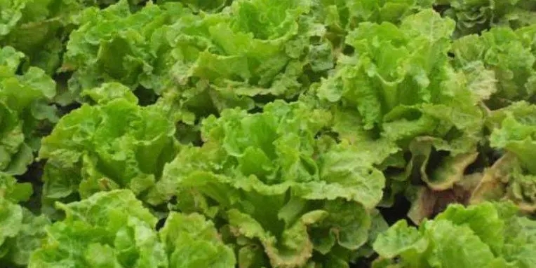 ˮ�ܷ�ʹ��ע��ʲô��ˮ�ܷʵ�ʩ�ü��ɣ�