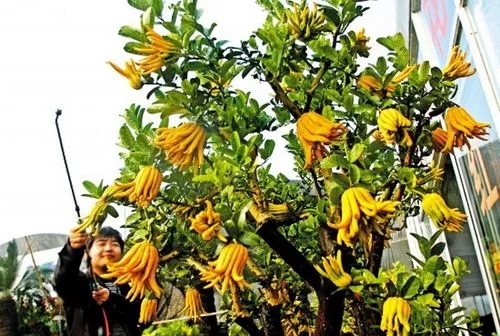 ���t����С�Ǟ�ʲô�����t�������ô�k��