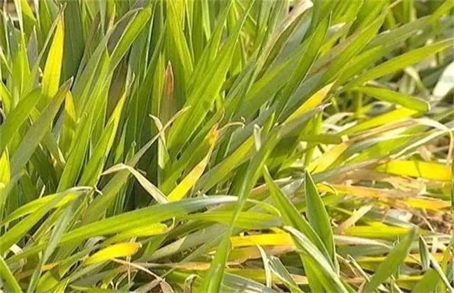 ����l�S��ʲôԭ������l�S����a�ȣ�