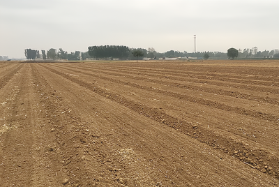 ���������a�}����Ҫ!�����������