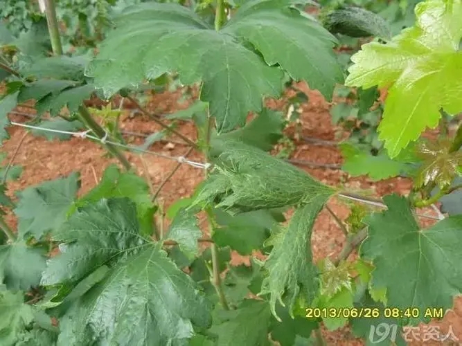 ɰ���ٞ������ƫС��ɰ���ٹ���С�ķ��Σ�