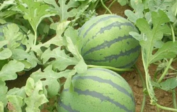 ������κ���ʩ�ʣ���Ҫ�����˂�ע��