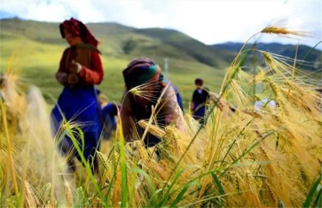 С��ʩ�׷�Ҫע��ʲô�����������!